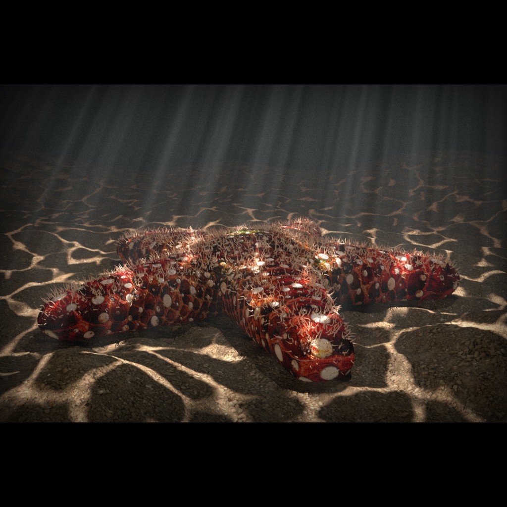 Starfish with volumetric fog and fake caustics preview image 1